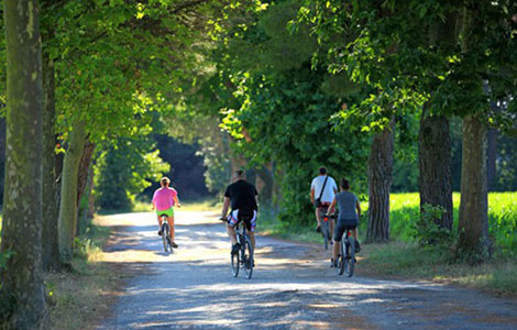 Con Bikeezy scopri l’Alto Adriatico